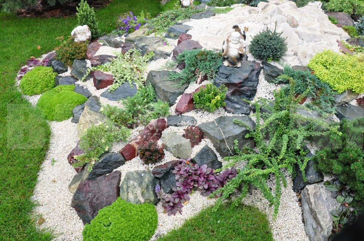 Рокарий своими руками: схемы, выбор растений и камней. 145 фото вариантов украшения рокария