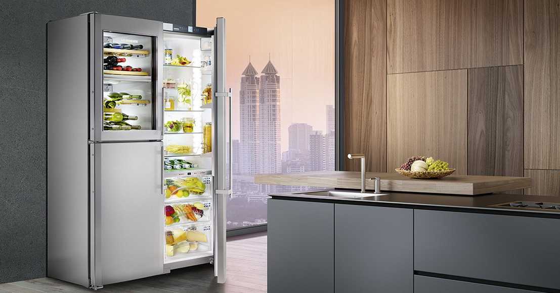 10 лучших двухдверных холодильников – рейтинг 2021 года