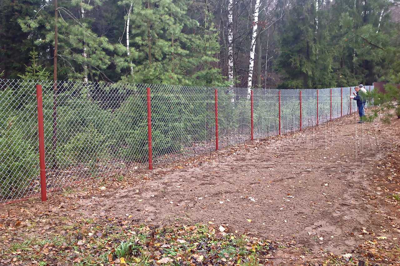 Как украсить забор из сетки рабицы, закрыть от соседей, сделать непрозрачным