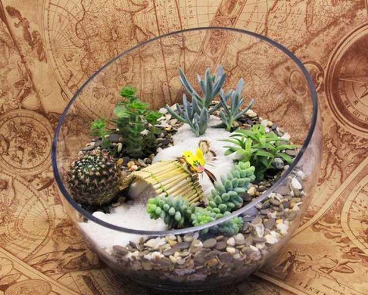 Как сделать флорариум своими руками для начинающих, и что для этого нужно: выбор растений и декоративных камней, оригинальные идеи необычных флорариумов с пошаговой инструкцией | qulady