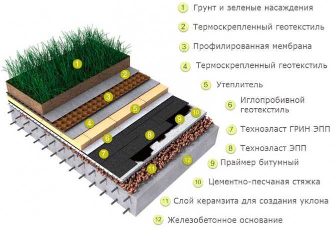 Газон на крыше: строительство и ремонт, технология озеленения, фото