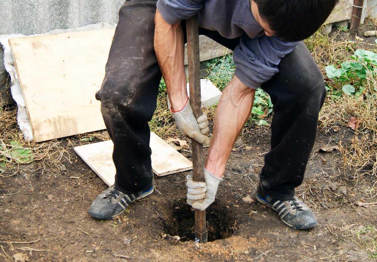 Абиссинский колодец своими руками: технология устройства скважины-иглы