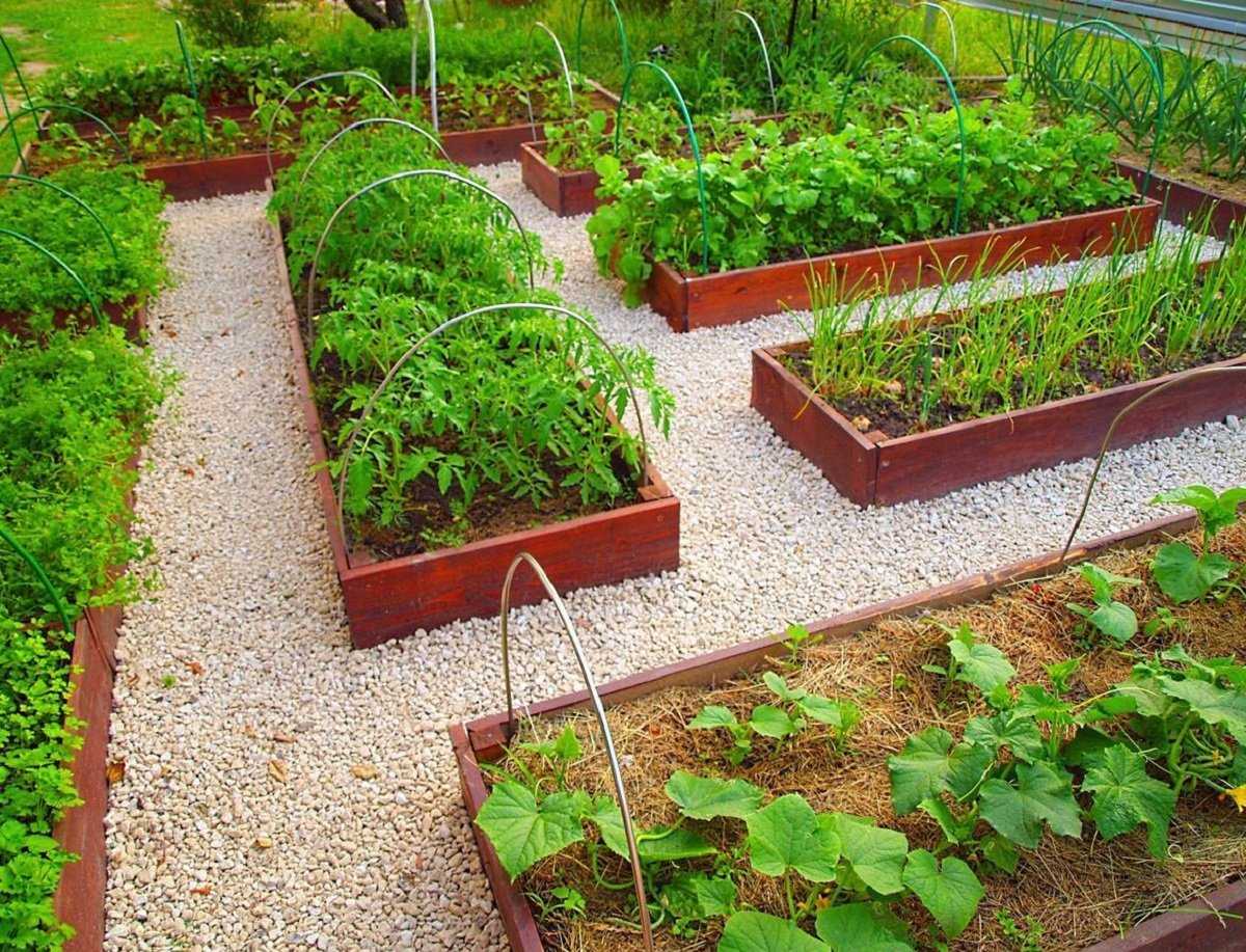 Планирование огорода и его дизайн - важные составляющие нашего дачного быта - своими руками на даче  - как посеять, сажать, ухаживать за растениями и цветами