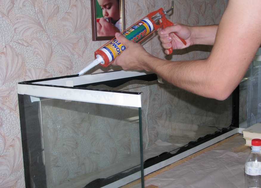 Аквариум из стекла своими руками: подробная пошаговая инструкция
