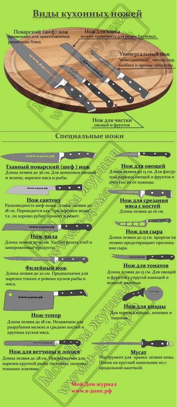 Виды кухонных ножей: какие бывают формы ножей и для чего они предназначены