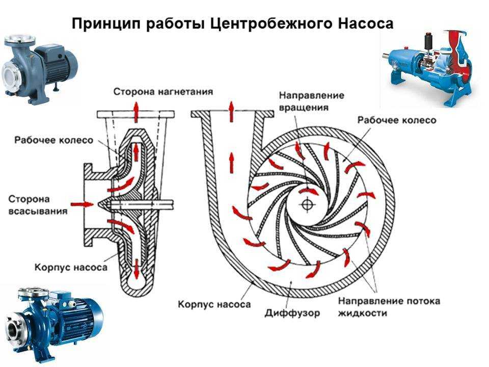Какой насос лучше: центробежный или винтовой. устройство, принцип действия, сравнение, назначение - samvsestroy.ru
