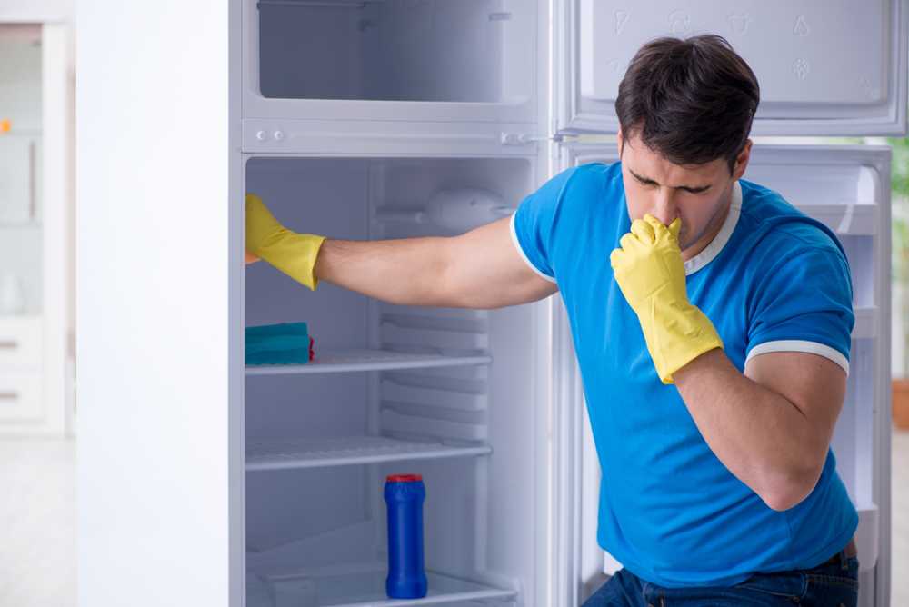 Как устранить запах в холодильнике с помощью домашних средств - наш уютный дом
                                             - 27 октября
                                             - 43634505627 - медиаплатформа миртесен
