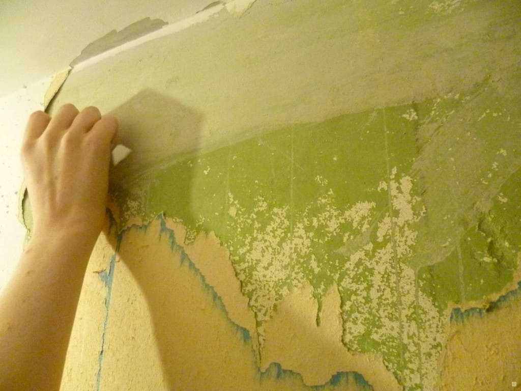 Покраска стен в ванной: какую краску выбрать и как правильно красить? | дизайн и интерьер ванной комнаты