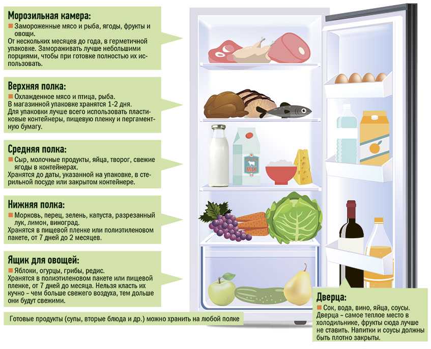Оптимальная температура в холодильнике и морозильной камере Температурные зоны холодильника и распределение продуктов Температура в морозилке: максимальная и минимальная Как измерить температуру